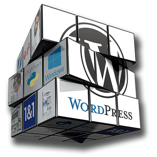WordPress Themes and Plugins