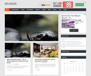 Creation of magazine website 